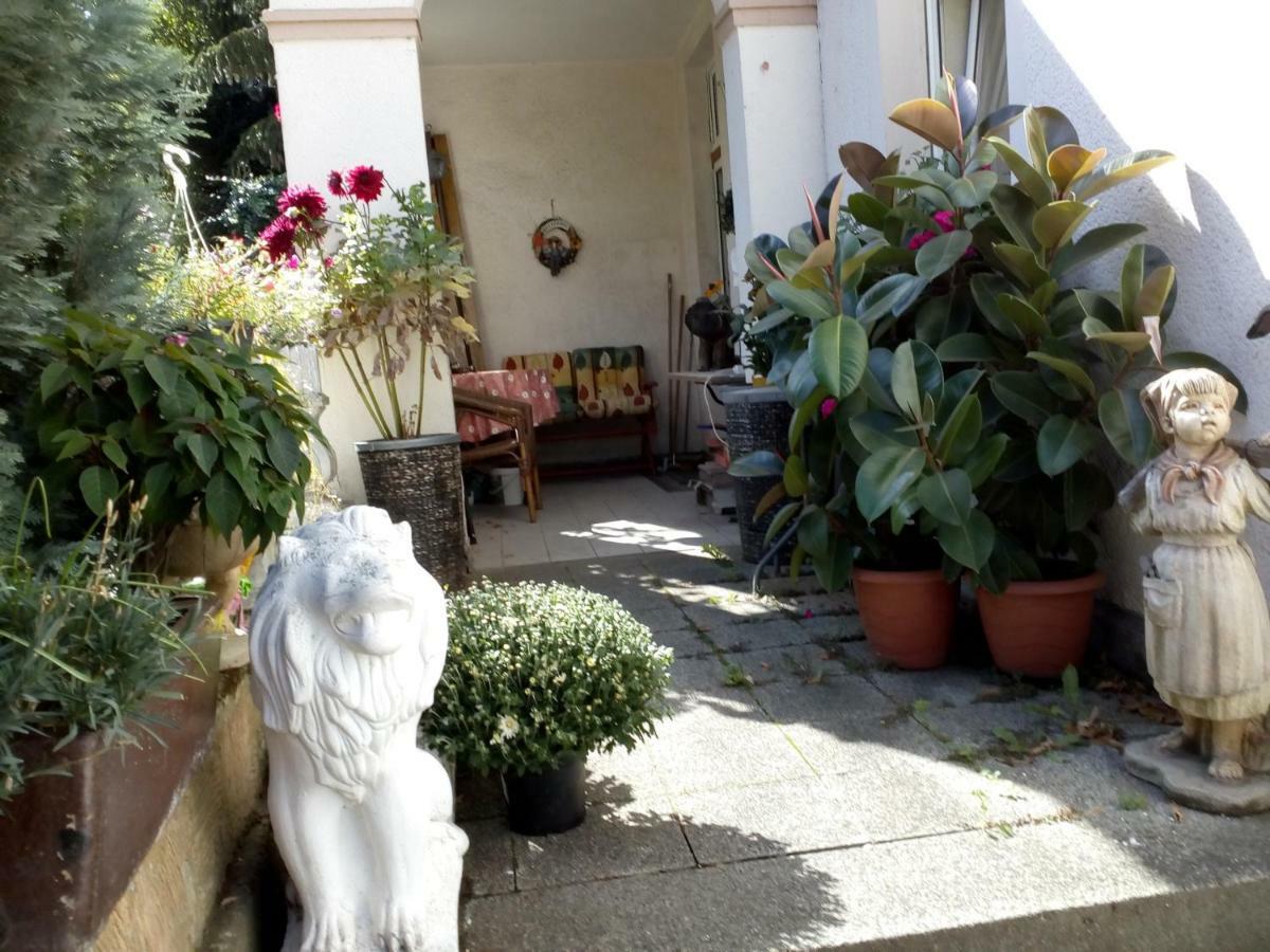 Dach-Studio-Runkel Schadecker Strasse 6 Exterior photo